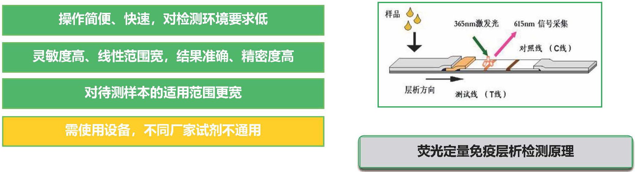 熒光定量免疫層析技術